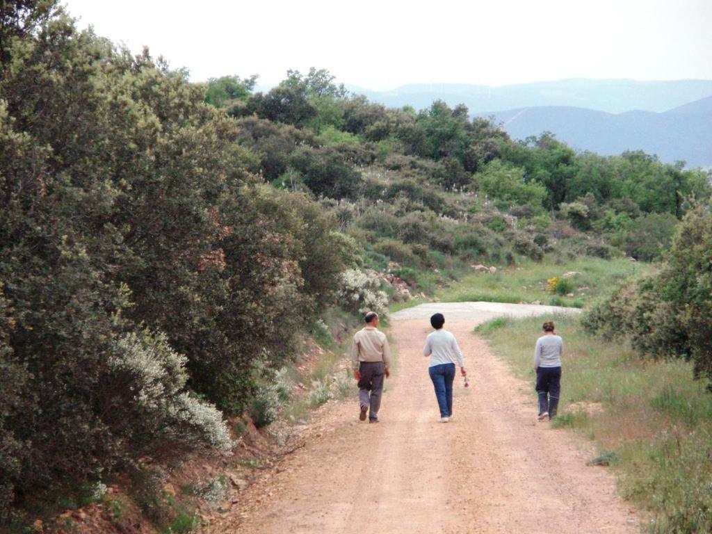Los Laureles Casa Rural Urda Extérieur photo